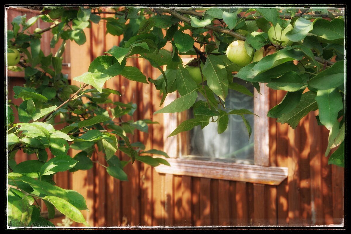 ..... - Руслан 