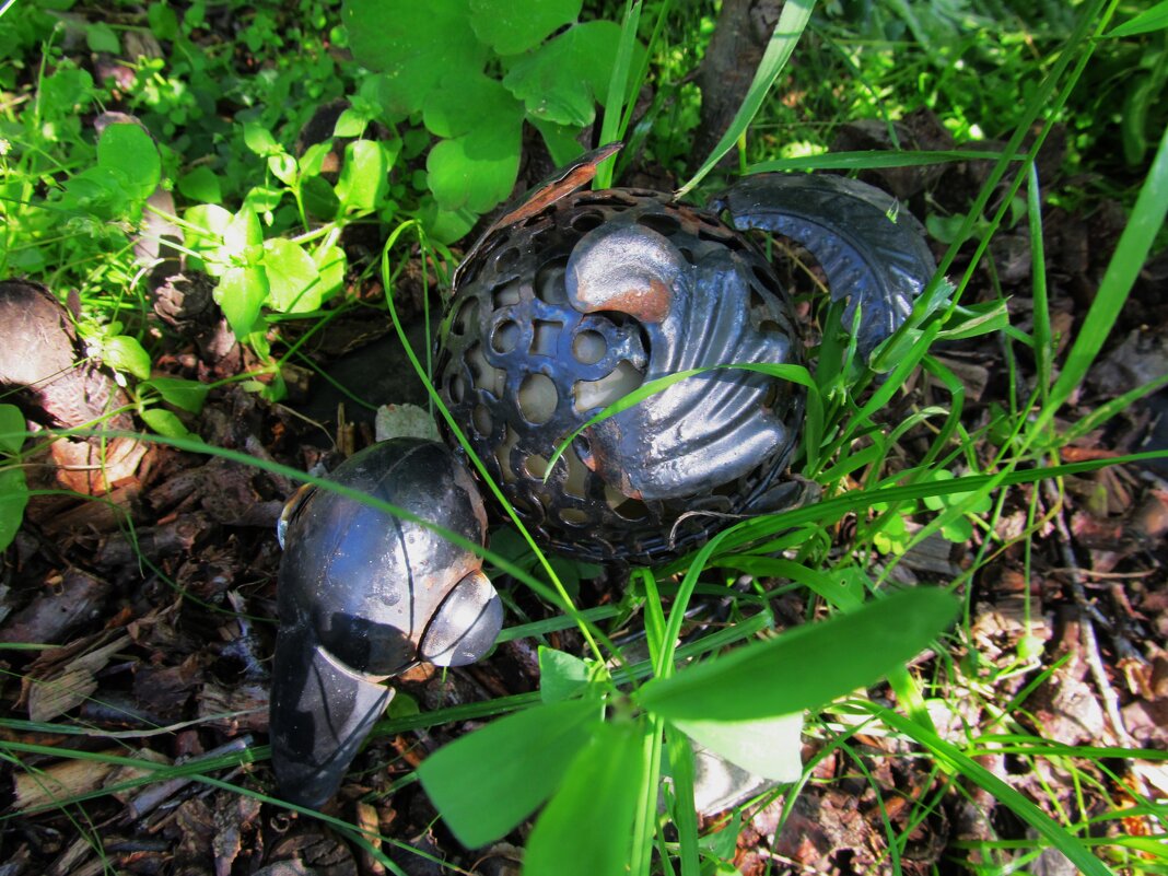 у дома - Елена Шаламова