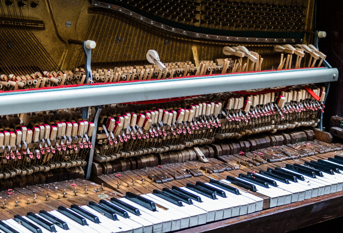 Отзвучал последний аккорд. - Игорь Викторов