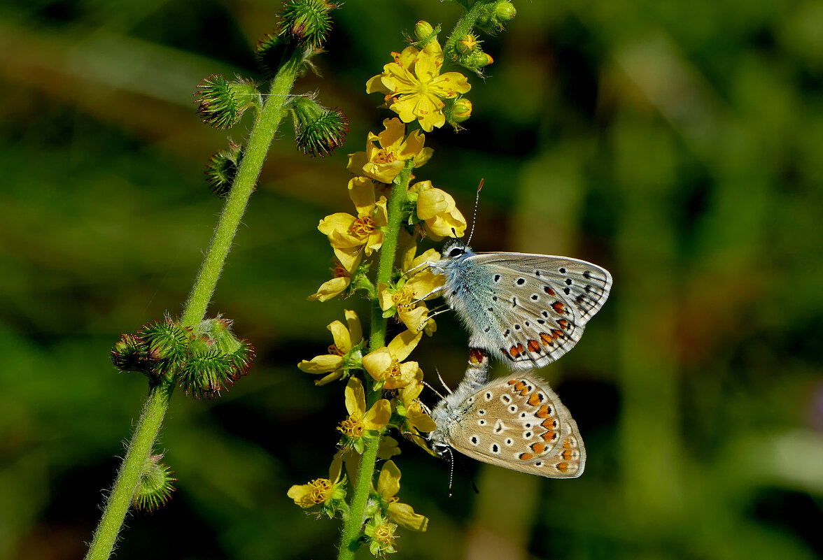 из снятого 1 августа 7 - Александр Прокудин