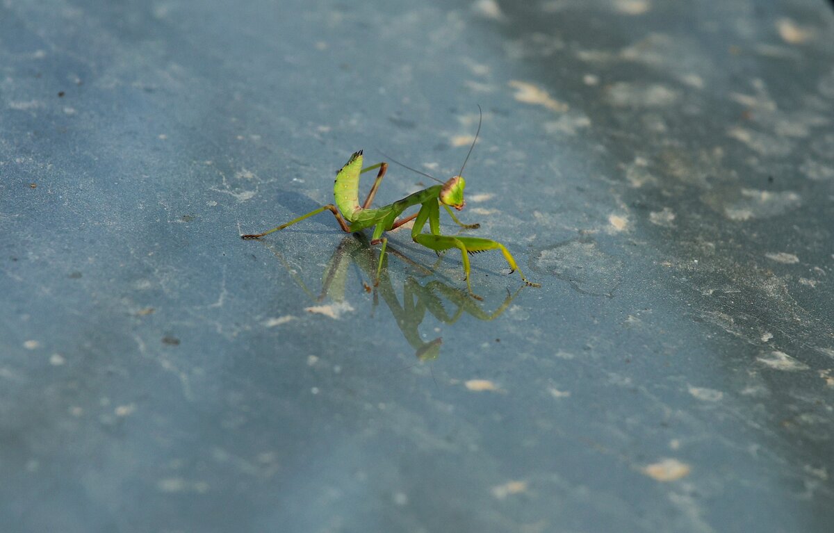 Малыш - Светлана Тихонина