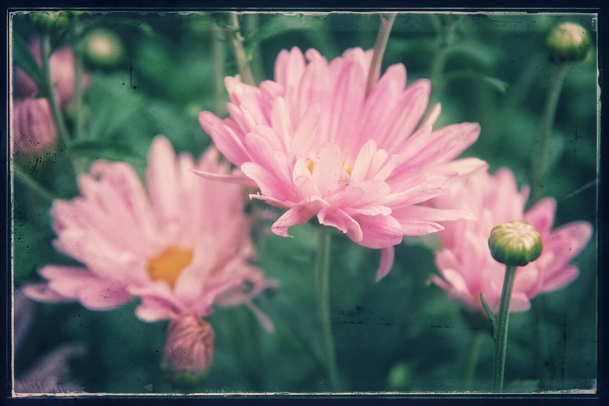 ....... - Руслан 