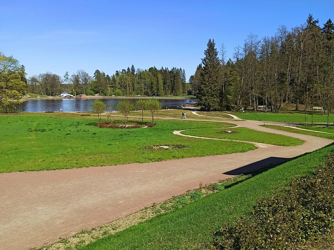 Скальный парк Монрепо в Выборге. - Ольга Довженко