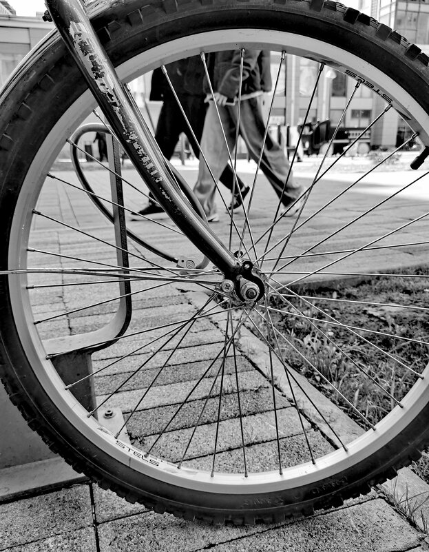 Черно-белая фотография - Любимова Ольга 