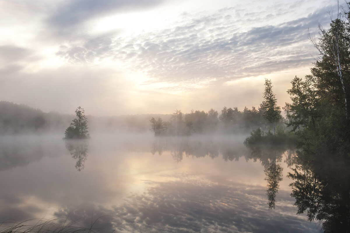 Утро туманное... - Sergey38 