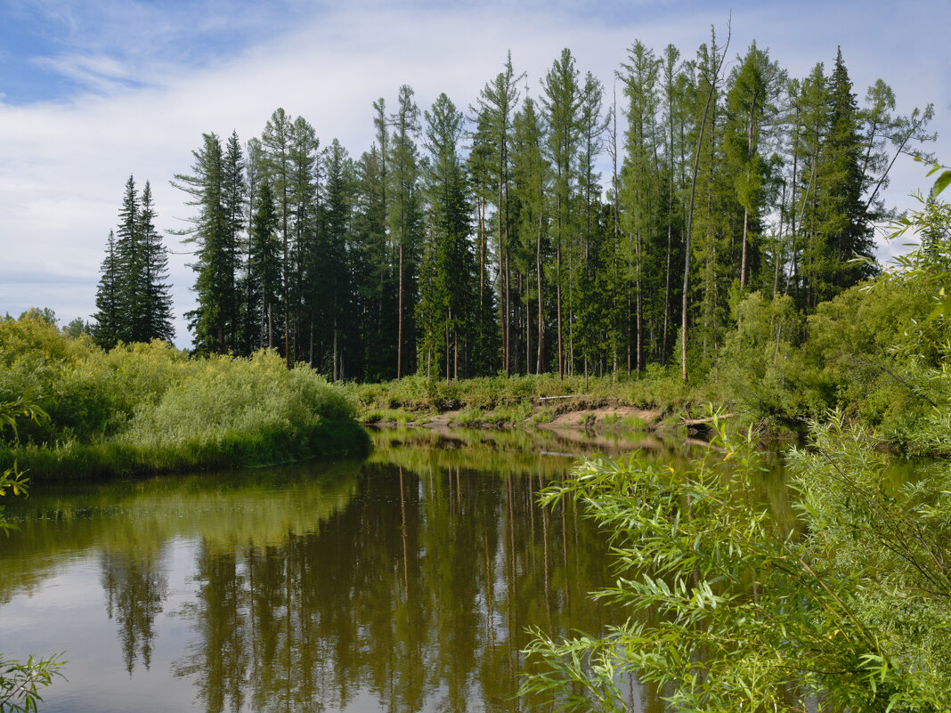 Карабула, приток Ангары - Сергей Шаврин