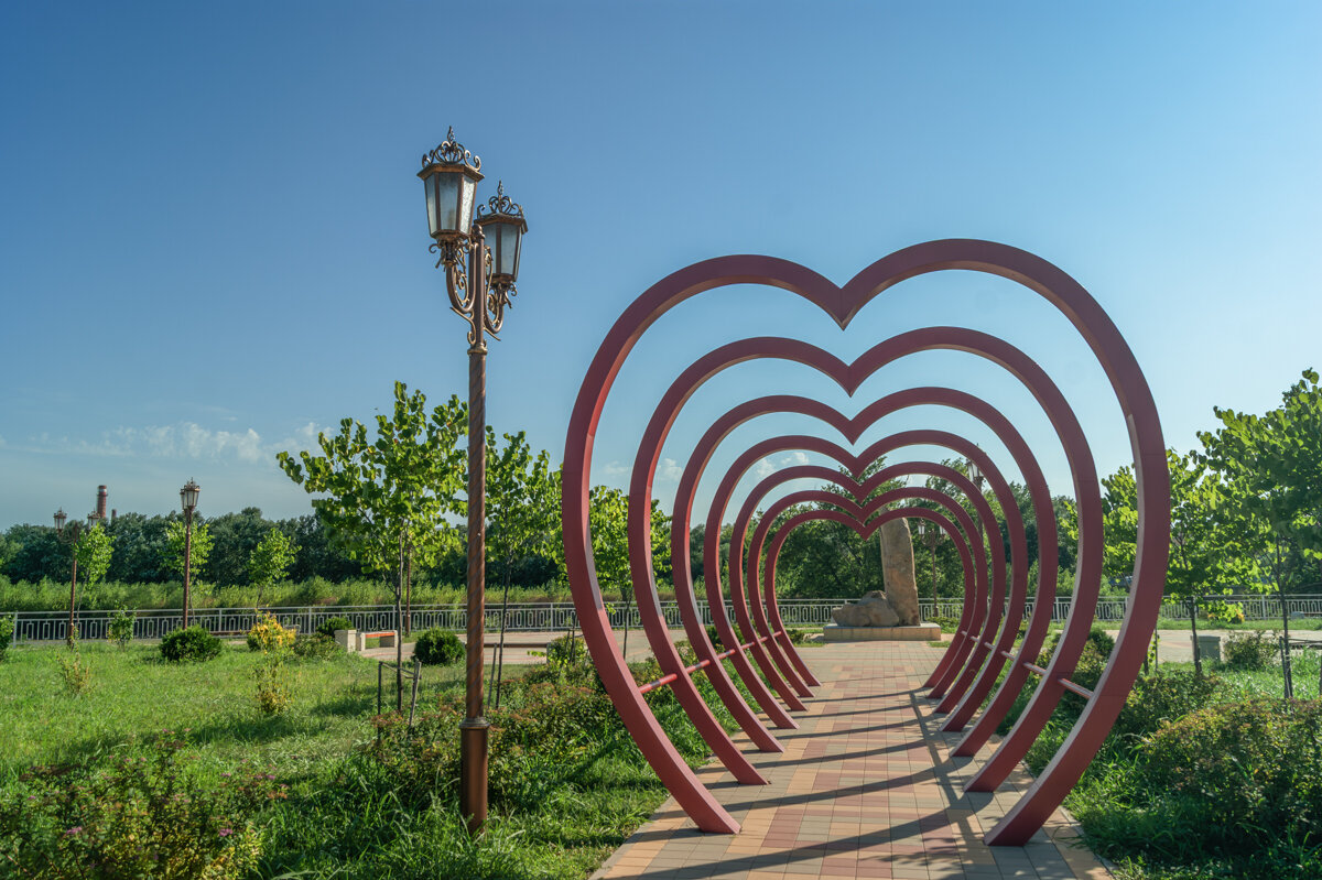 Скелет мамонта - Игорь Сикорский