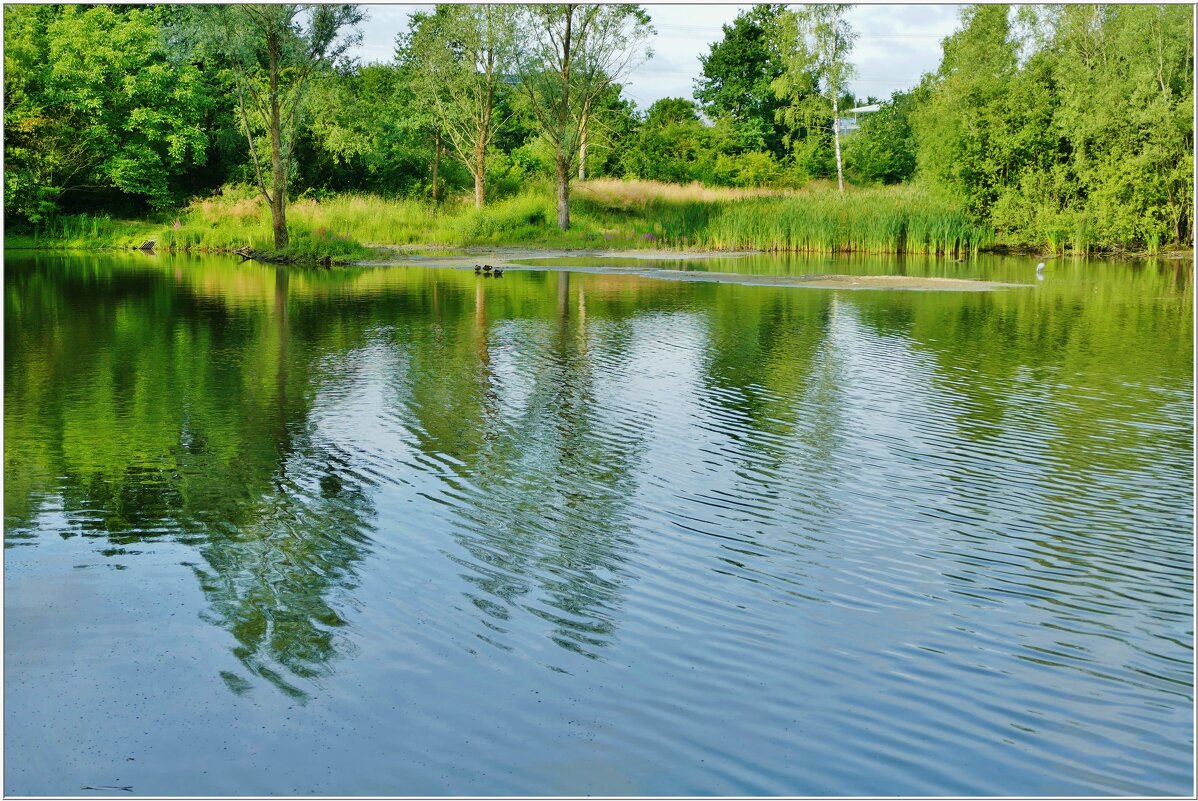 У ОЗЕРА... - Elvira E. 