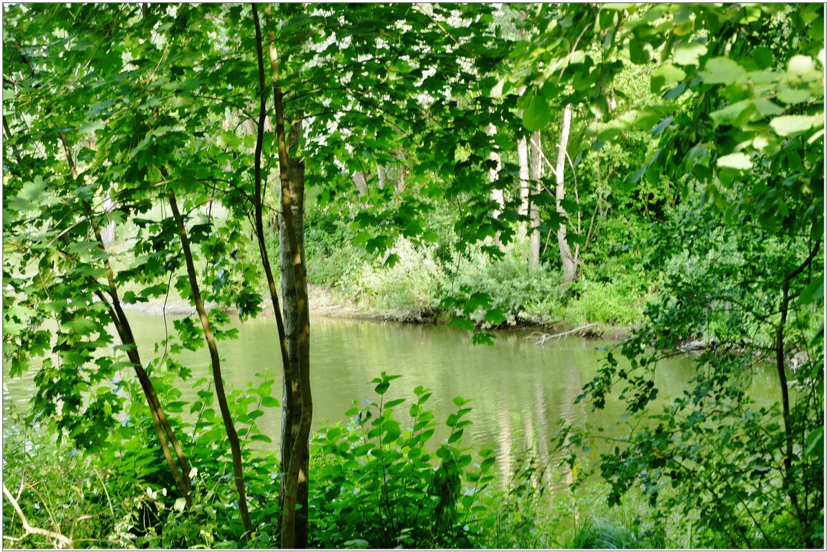 У ОЗЕРА... - Elvira E. У ОЗЕРА... - Elvira E.