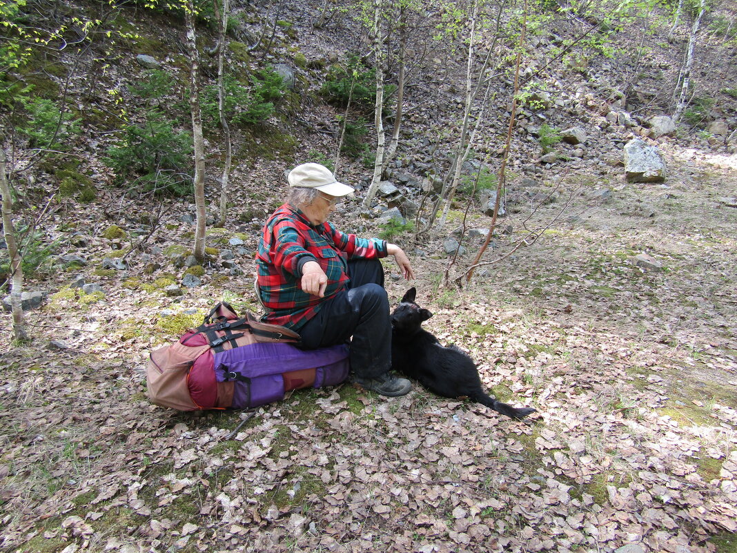 -Иди погуляй! - Galaelina ***