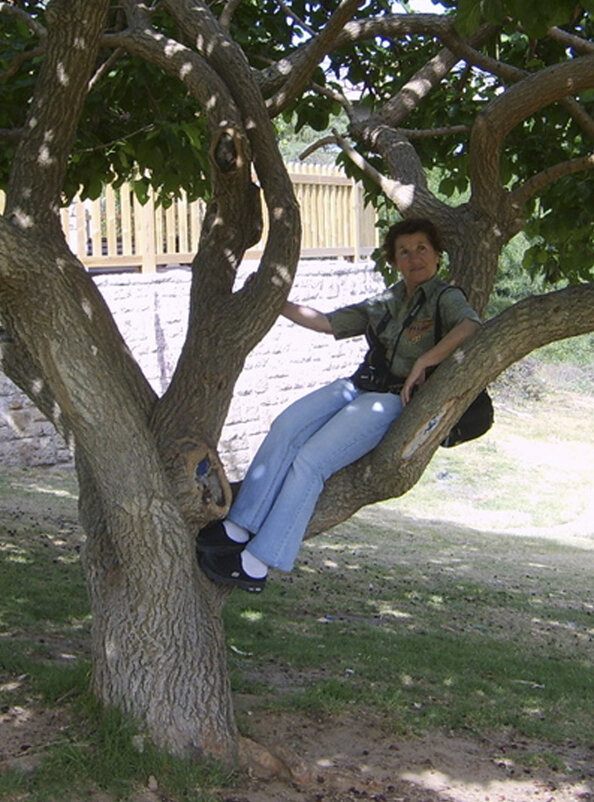 Я (архиф ) - Светлана Хращевская Я (архиф ) - Светлана Хращевская