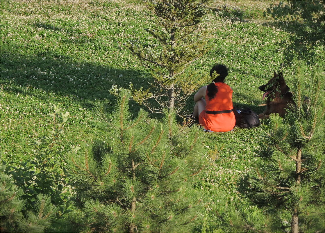 счастье Джима - sv.kaschuk 