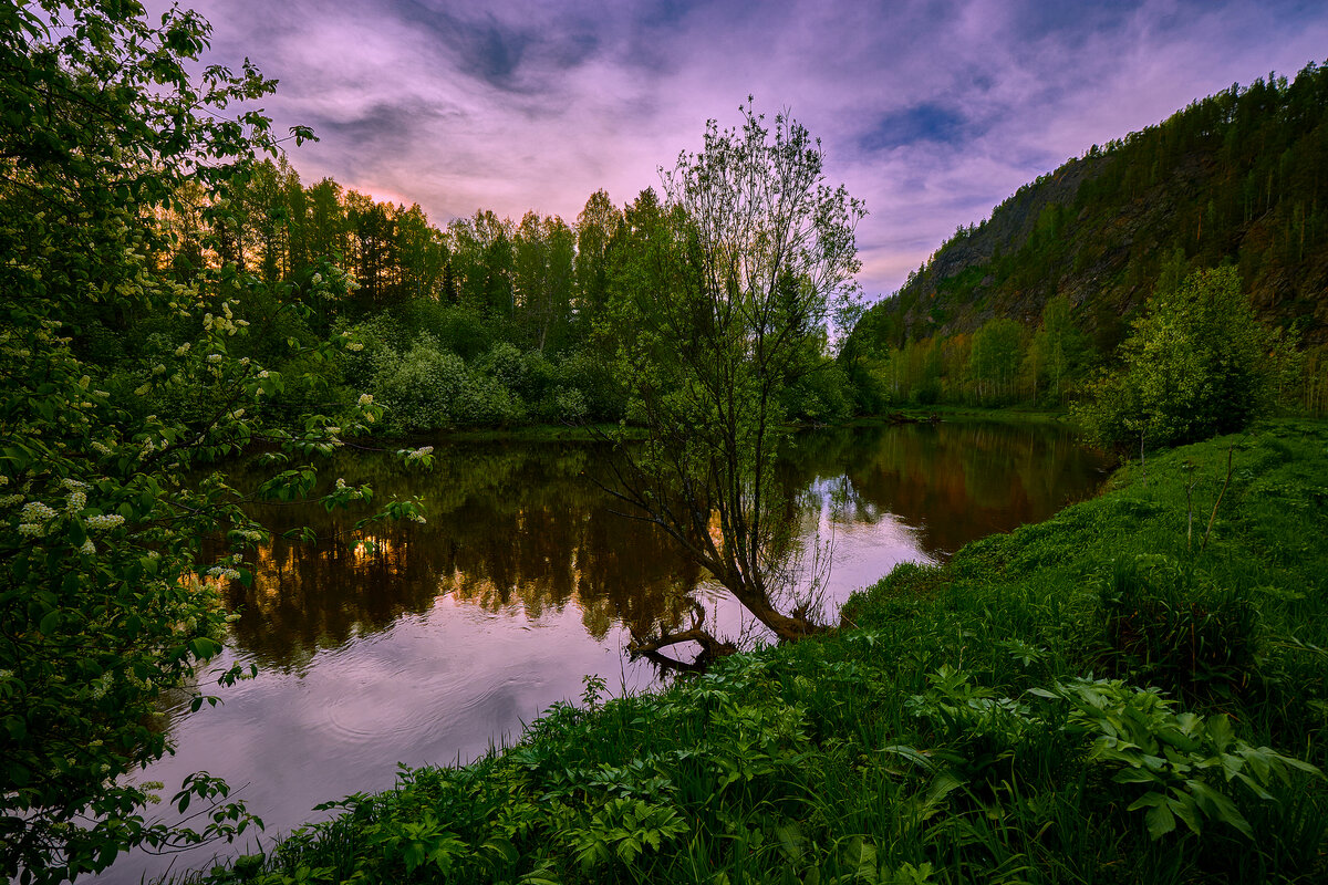 Вот и солнце зашло. - Юрий кот