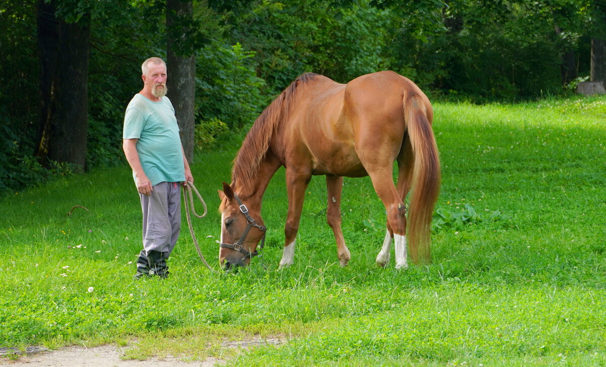 На прогулке. - Alex 711402