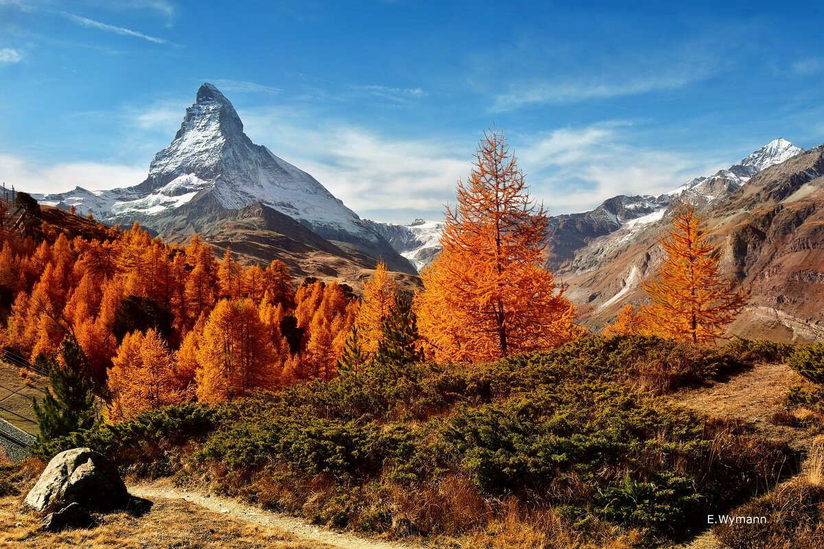 autumn - Elena Wymann