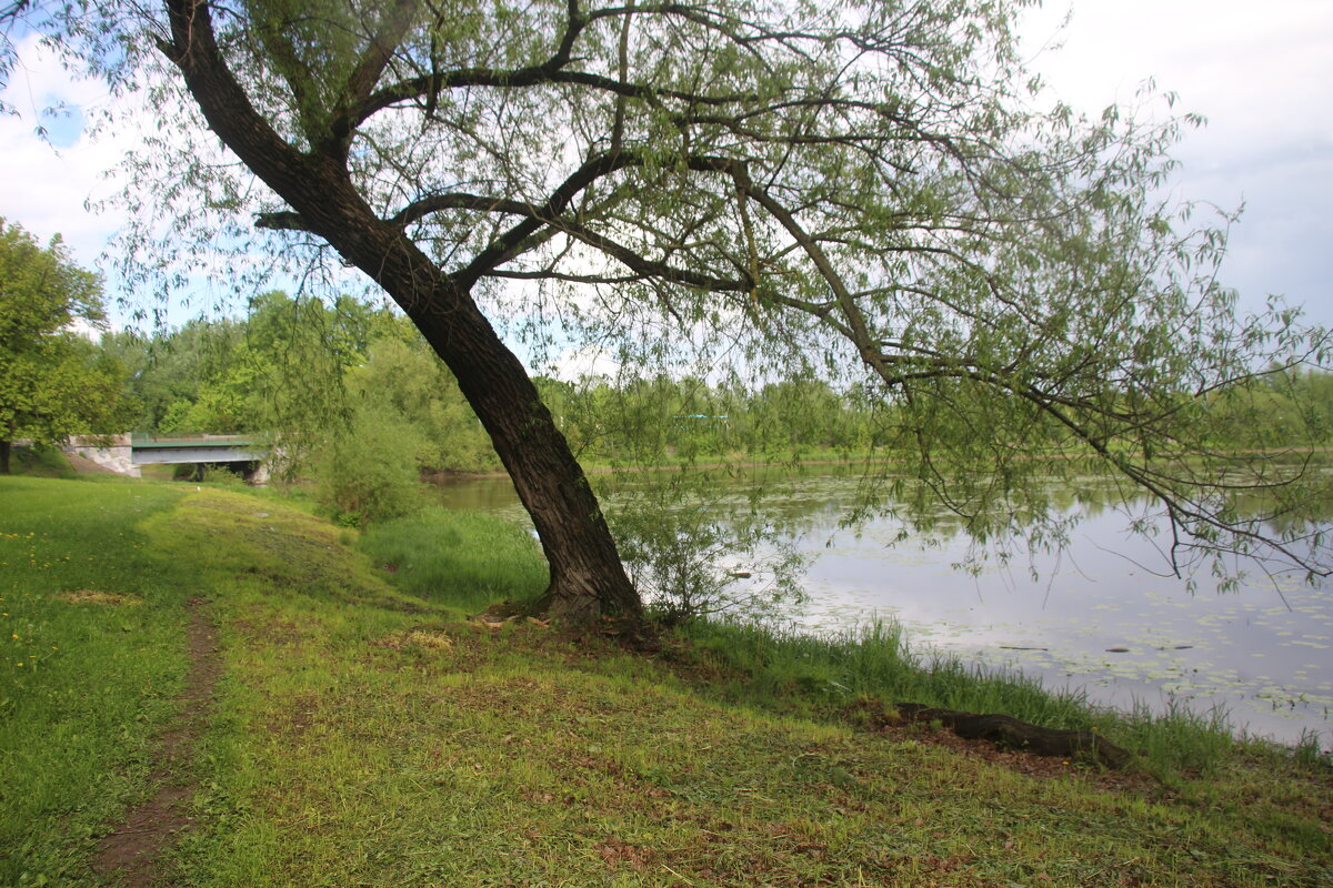 Орловский парк - Наталья Герасимова