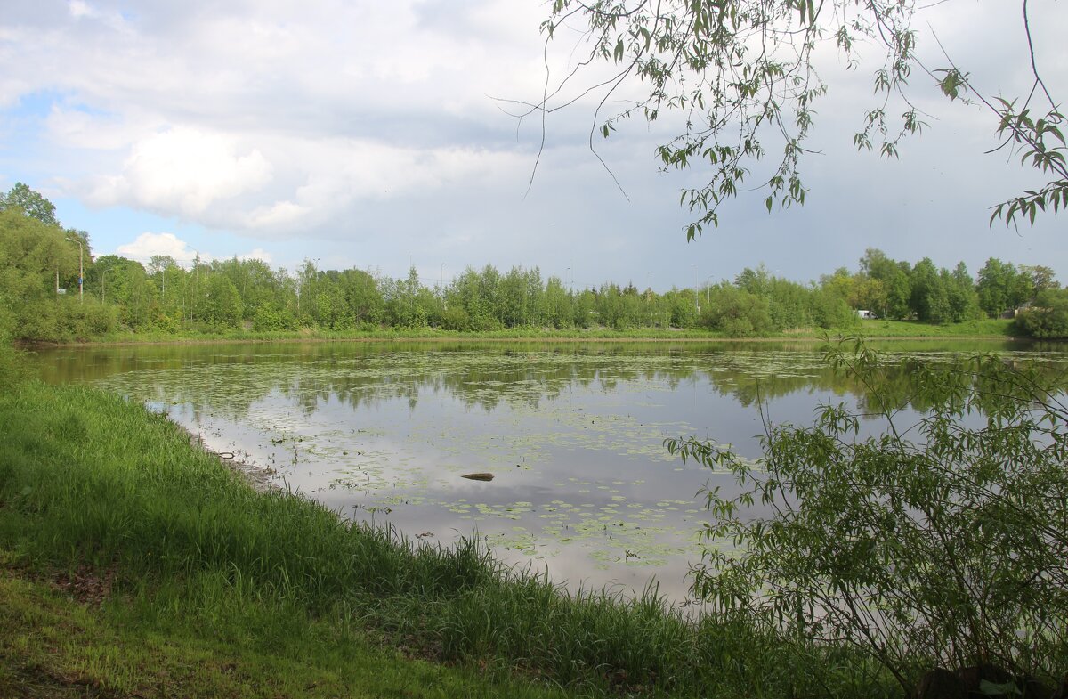 Орловский пруд - Наталья Герасимова