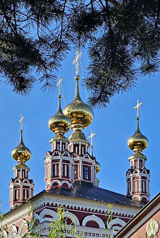 Суздаль. Купола. - Михаил Свиденцов