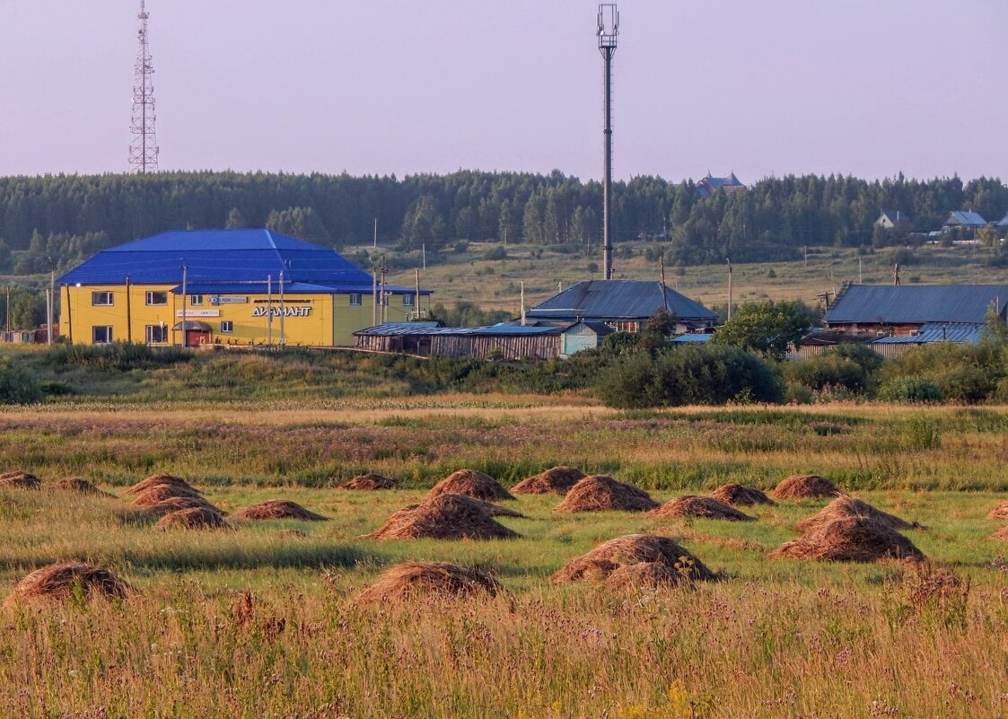 Август - проба осенних красок! - Елена Хайдукова  ( Elena Fly )