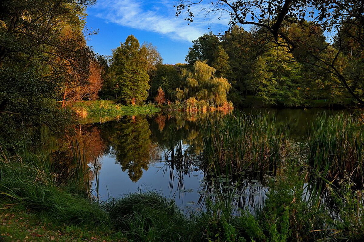 --------- - igor G. --------- - igor G.