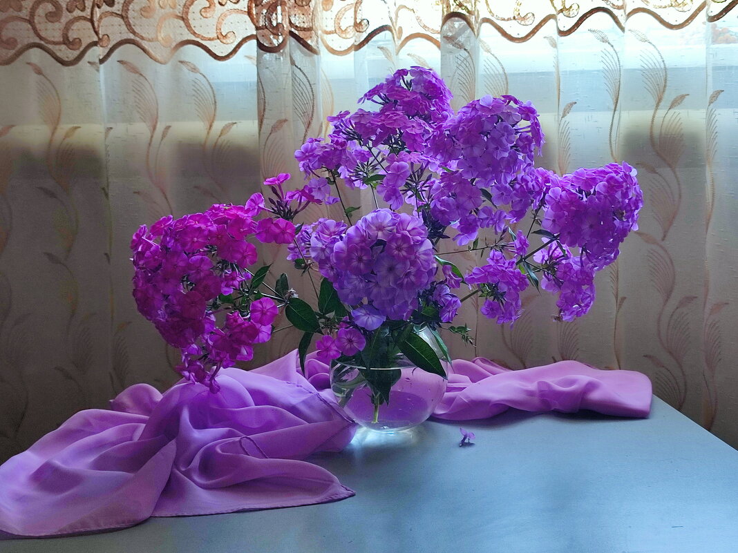 Флоксов букетик - Валентина Богатко 