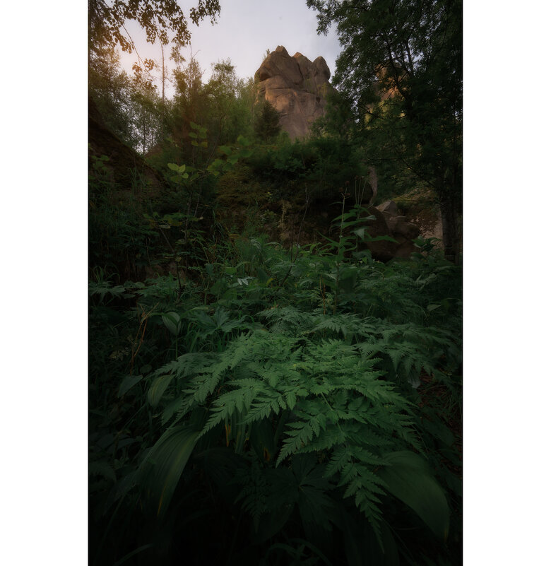 * - Александр Иванов