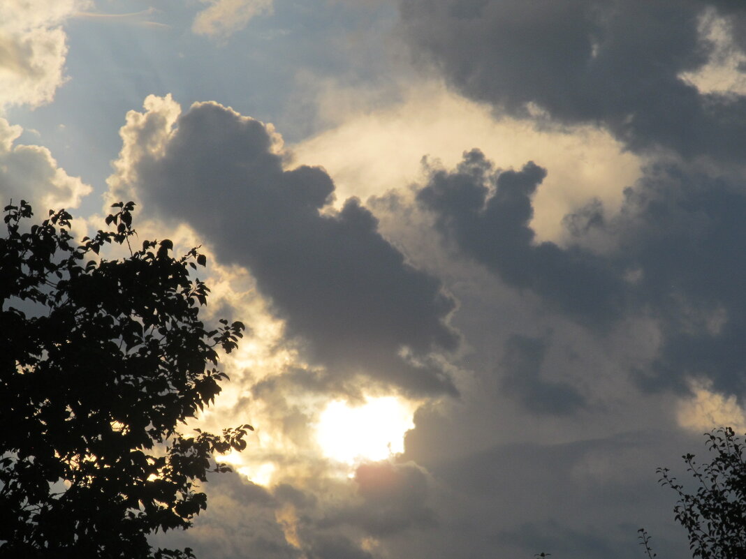 вечер - Елена Шаламова