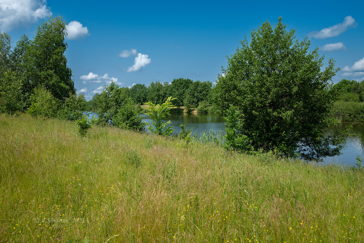 Летняя солнечная природа - Александр Синдерёв