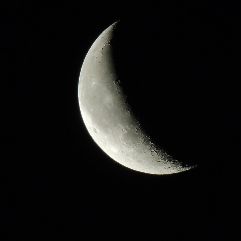 ночная красавица луна. - Olga Kxarlamova ночная красавица луна. - Olga Kxarlamova