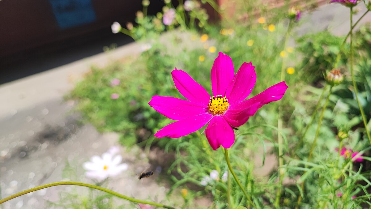 ,,, - Сергей Тимоновский