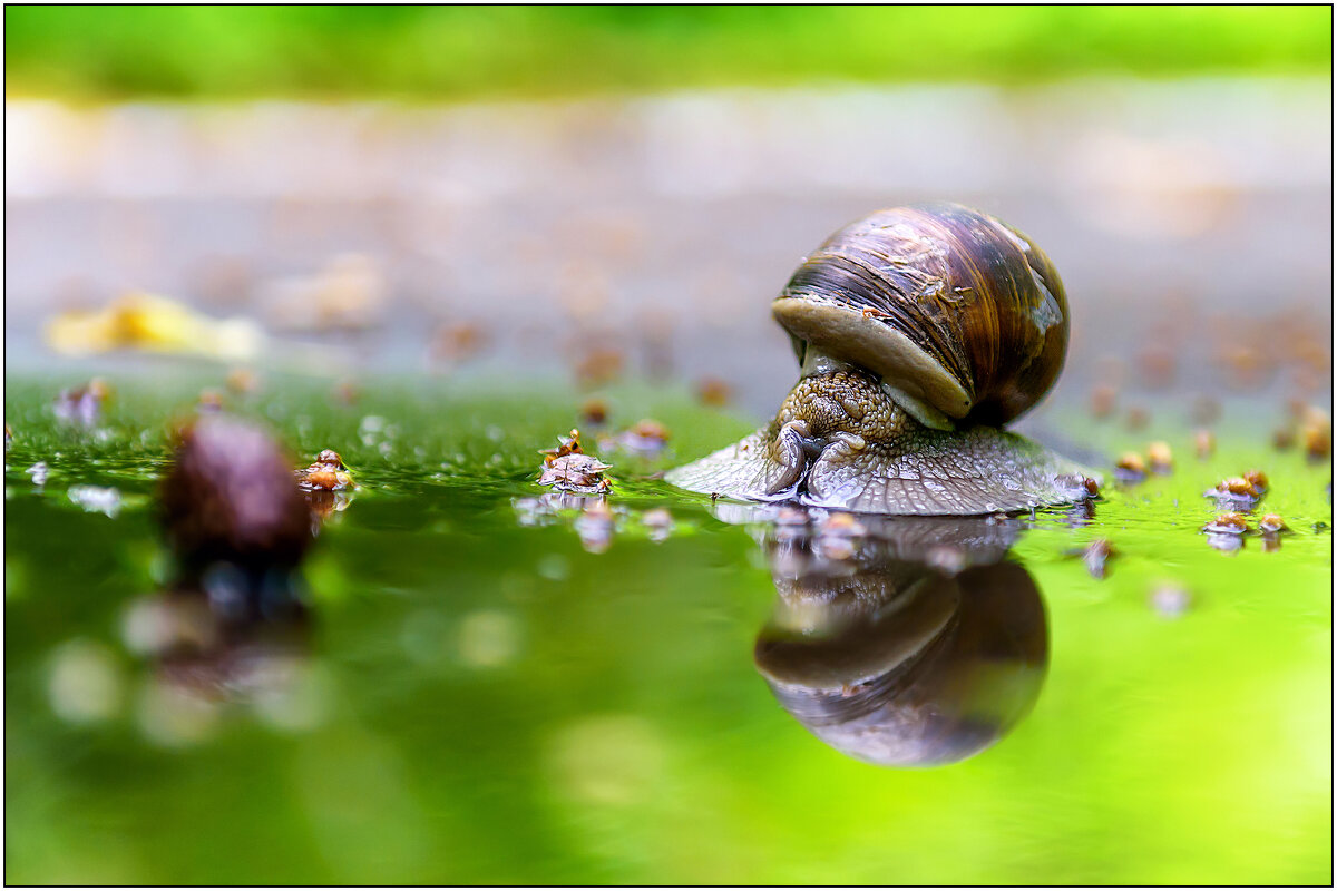 Маленький мир - Максим Сорокин Маленький мир - Максим Сорокин