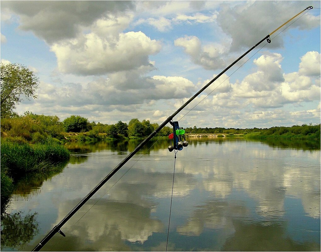 "Телефон" фидериста - Геннадий Худолеев Худолеев