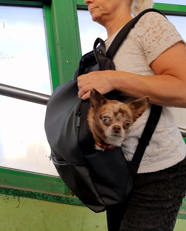 *** - Владимир Захаров