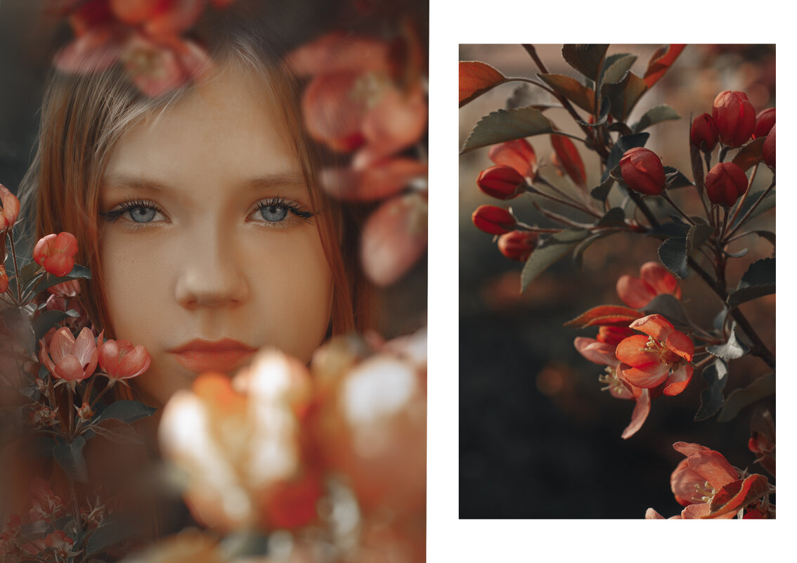 Елизавета - наталья жданюк