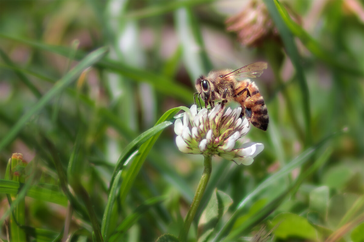 Ням Ням - Tatsiana Latushko