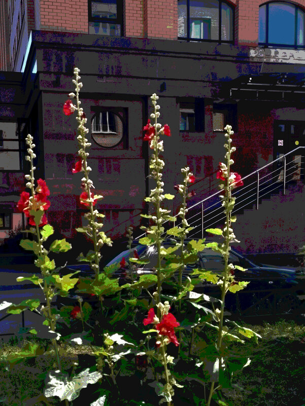 *** - Валентина Береснева