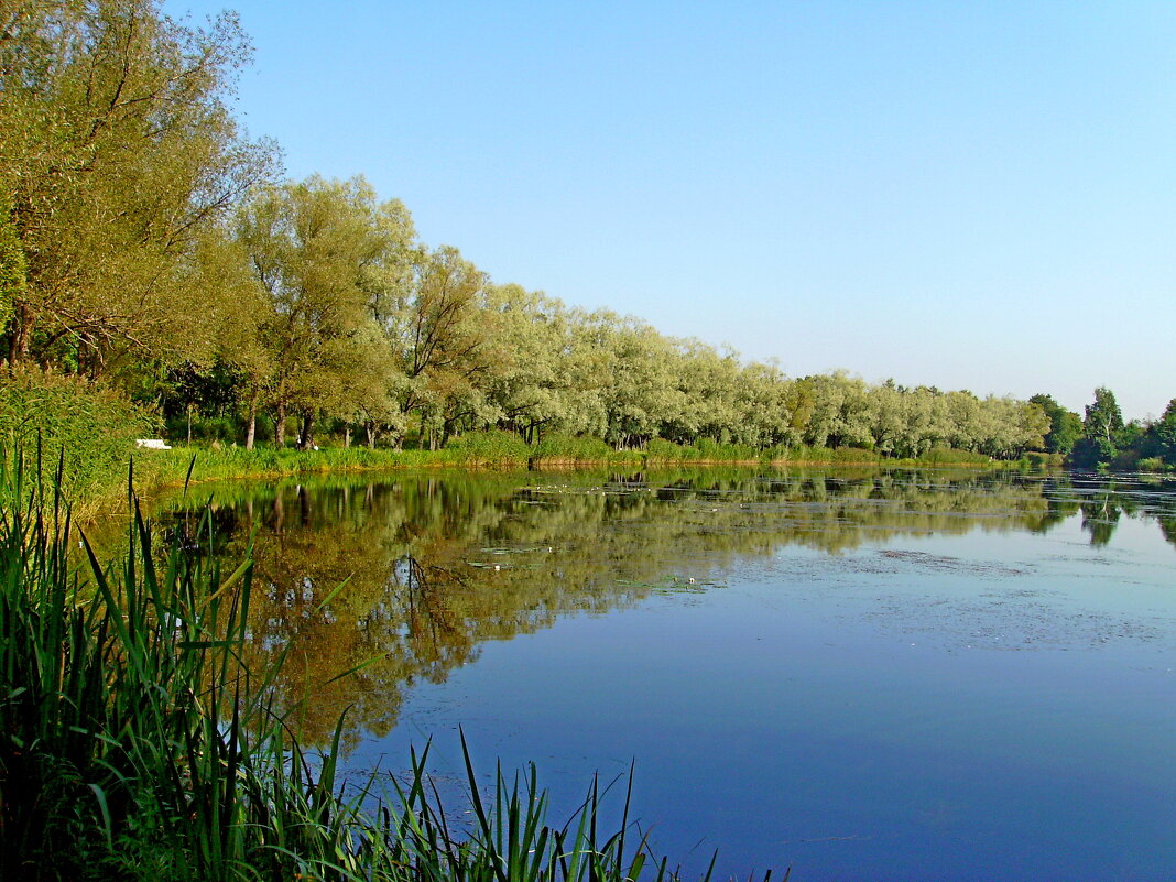 Отражение. - VasiLina * Отражение. - VasiLina *