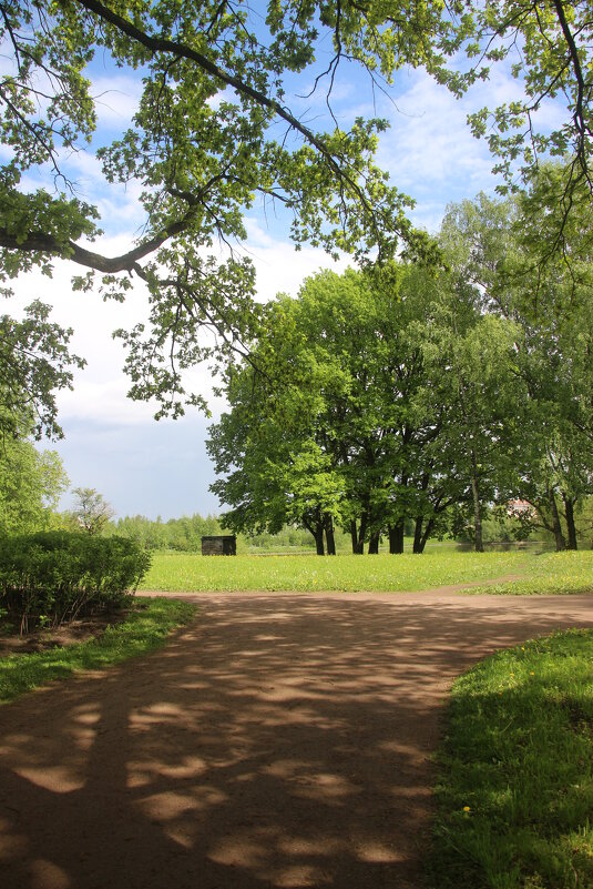 Орловский парк - Наталья Герасимова