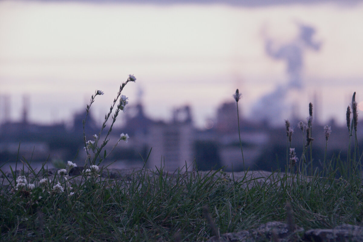 *** - Сергей Сергеев