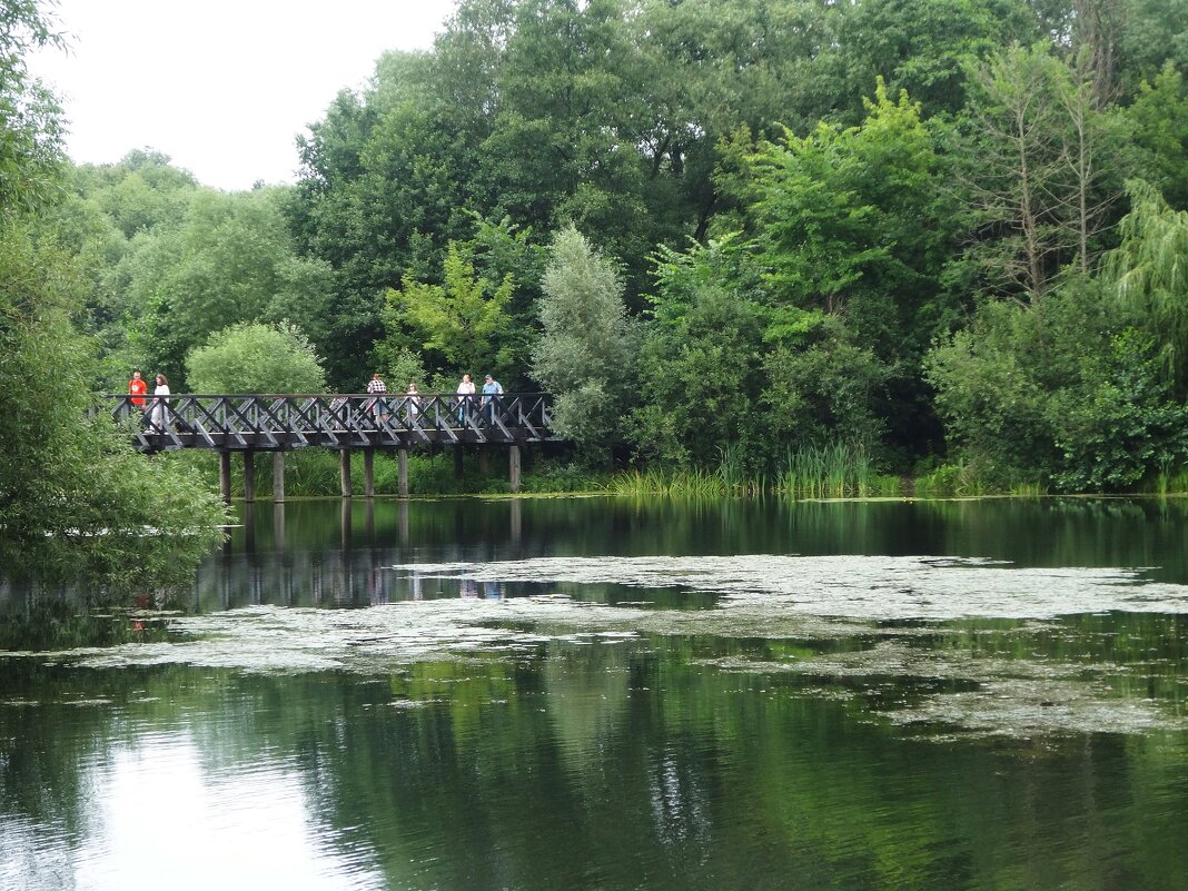 Парк усадьбы Покровское-Стрешнево - Лидия Бусурина