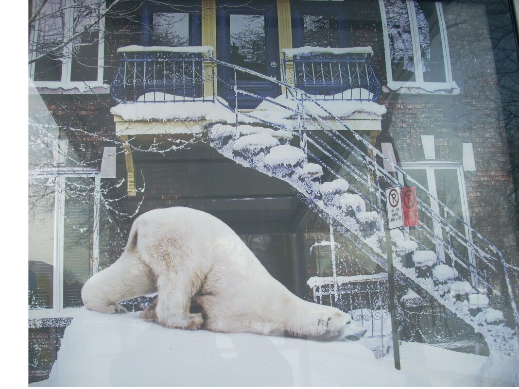 ДОЖДАЛСЯ ! Ну , наконец-то - ЗИМА-А,,, :) - Валерий Кокорев