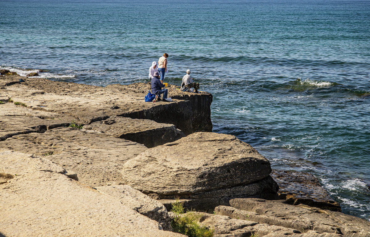 Прогулка - Анатолий Чикчирный