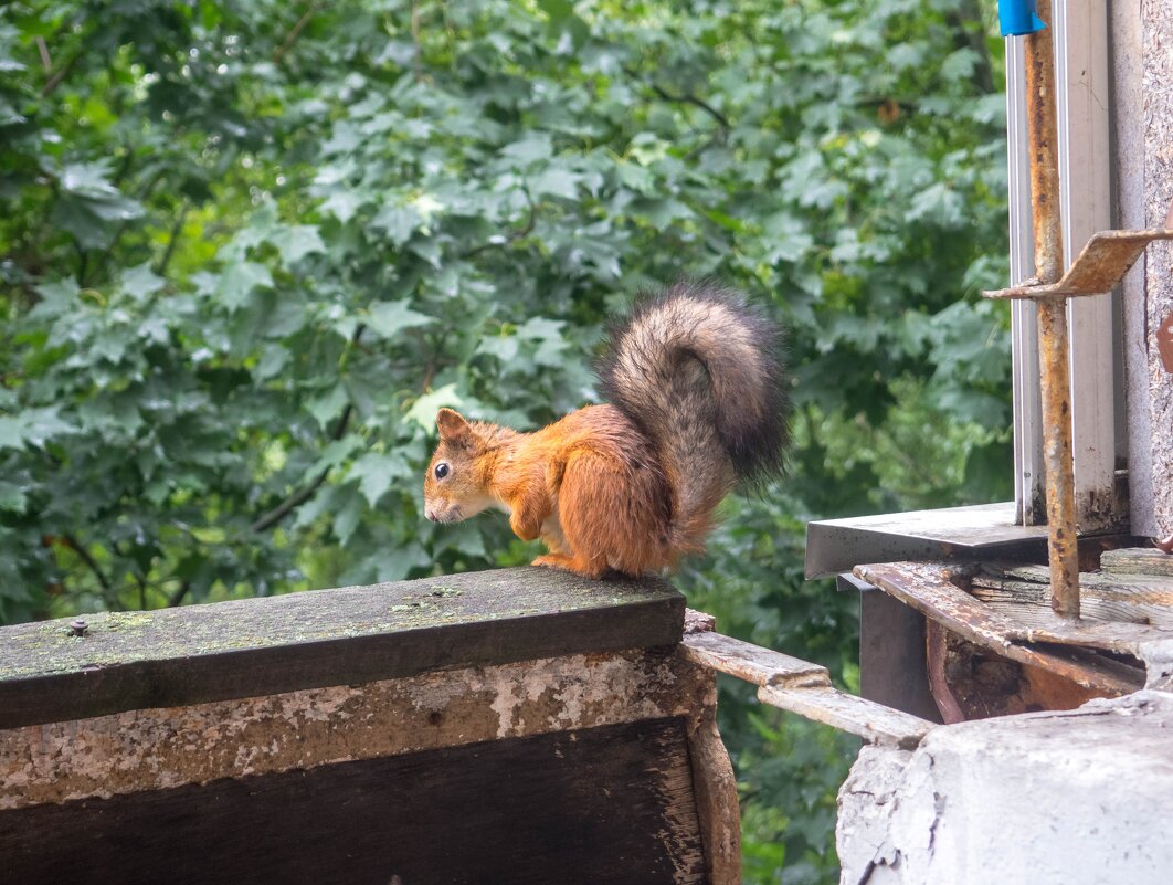 ___ - Yuriy V ___ - Yuriy V