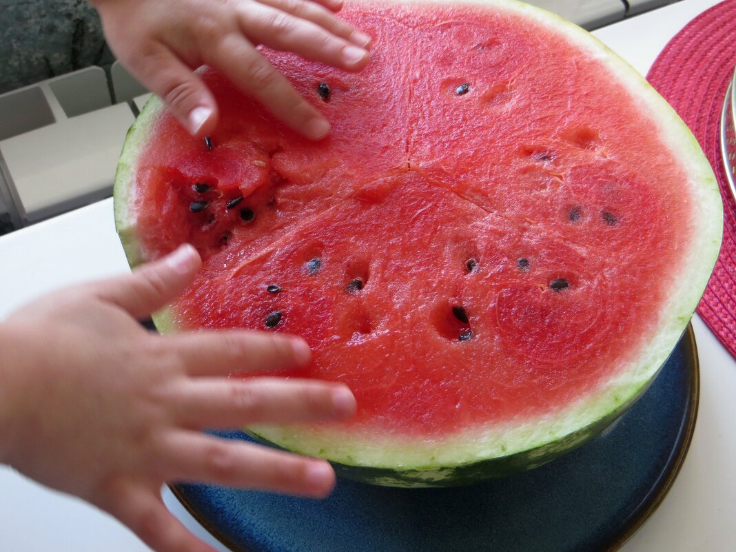 Арбузы — наслаждение августа! - Татьяна Смоляниченко