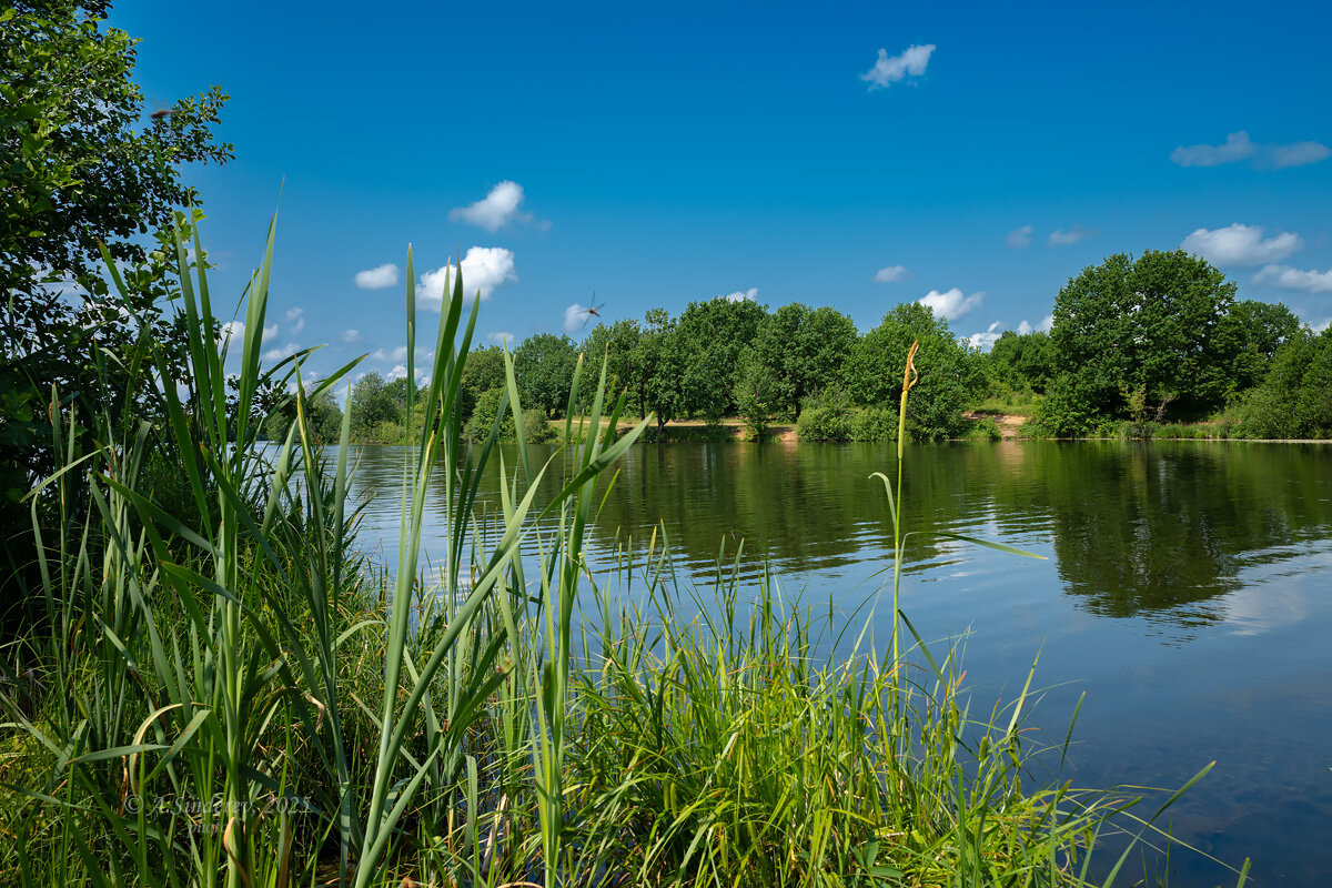 Тёплый летний день на озере - Александр Синдерёв