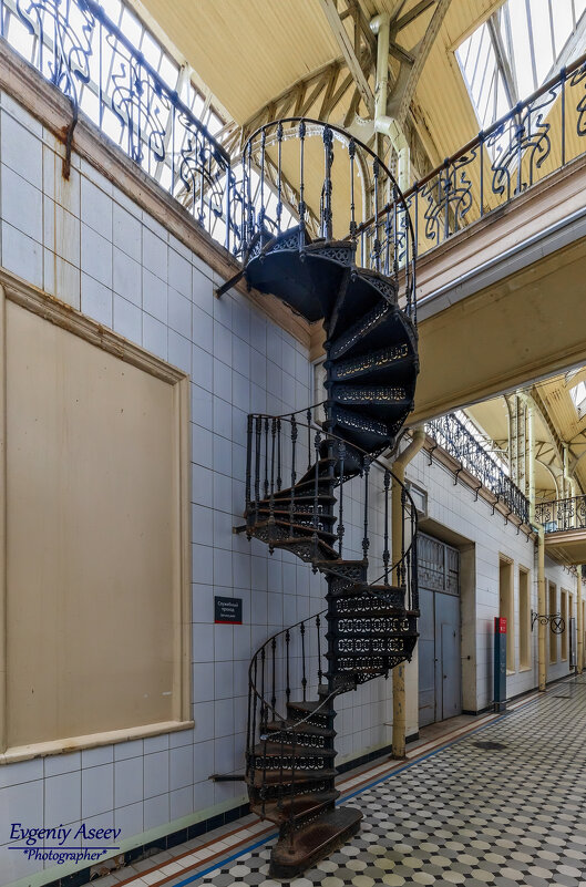 Лесенка-чудесенка - Евгений 