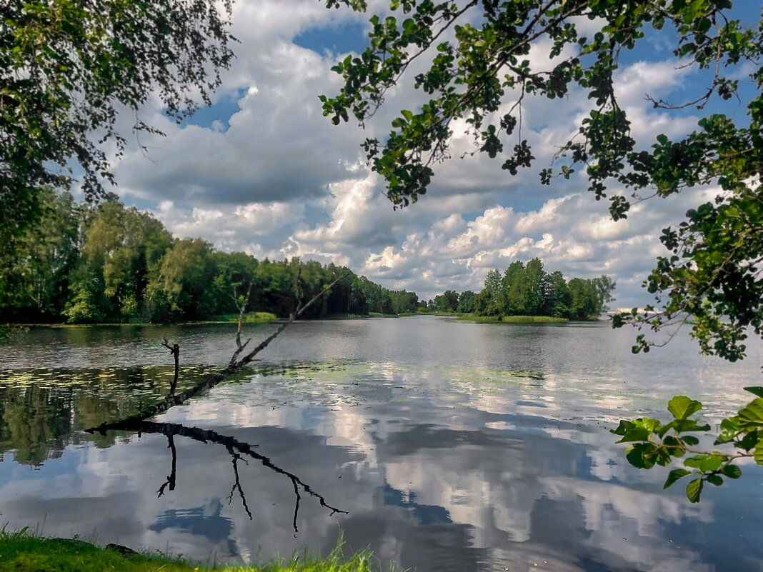 Daugaviņa 030825 m - Arturs Ancans