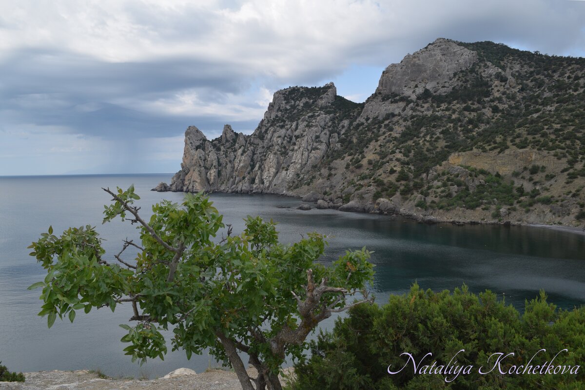 Природа Крыма - Amazing Cosmea