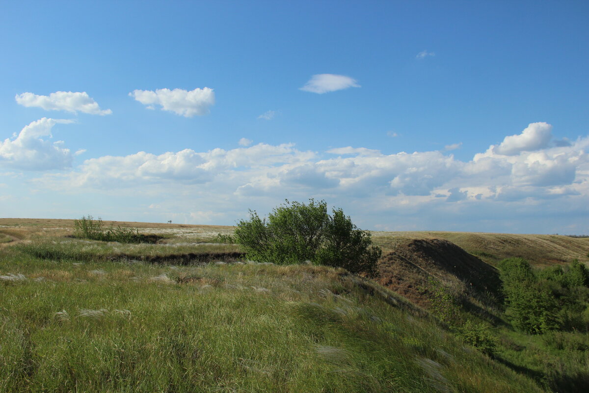 *** - Виктор *** - Виктор