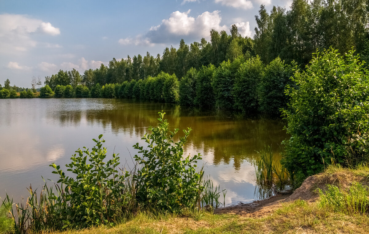 Ильин день 4 - Андрей Дворников Ильин день 4 - Андрей Дворников